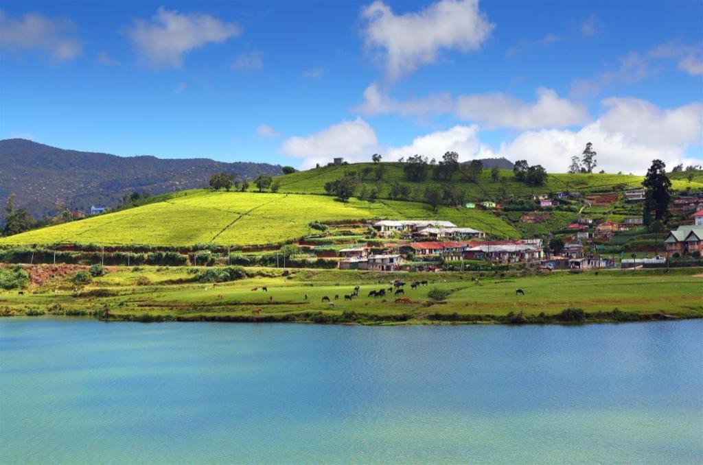 Daffodil'S Hotel Nuwara Eliya Exterior photo